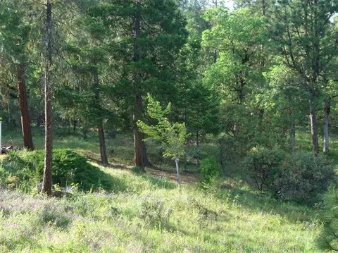 504 Danconia, Trail, OR 97541 photo 22
