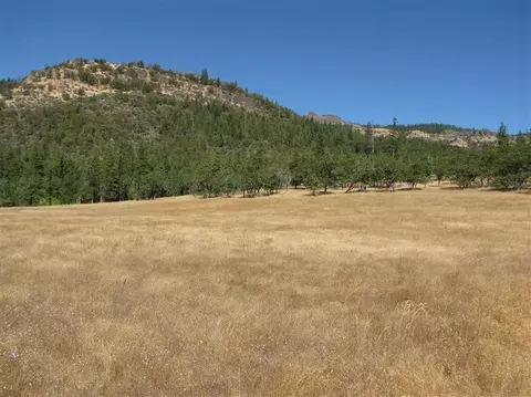 12221 E Antelope Rd, Eagle Point, OR 97524 photo 6