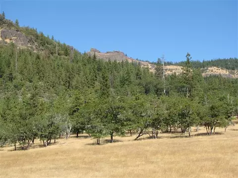 12221 E Antelope Rd, Eagle Point, OR 97524 photo 7