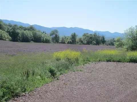 5591 Upton Rd, Central Point, OR 97502 photo 6
