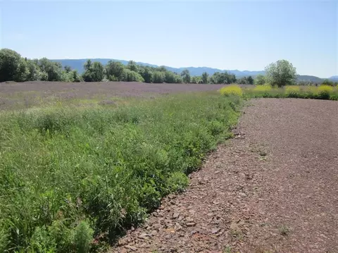 5591 Upton Rd, Central Point, OR 97502 photo 2
