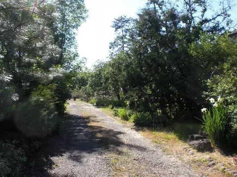 444 Ayres St, Eagle Point, OR 97524 photo 18