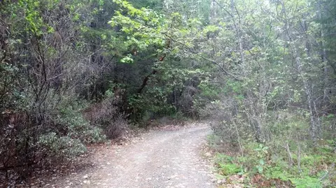 7501 Rockydale Rd, Cave Junction, OR 97523 photo 3