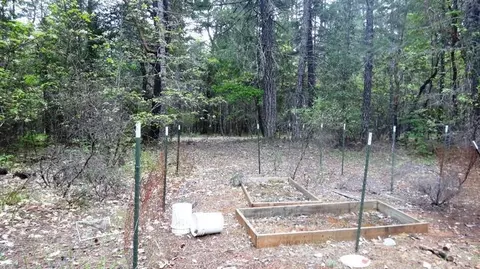 7501 Rockydale Rd, Cave Junction, OR 97523 photo 8
