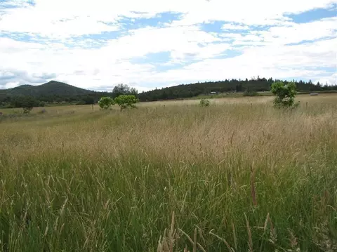 2260 Hammel Rd, Eagle Point, OR 97524 photo 12