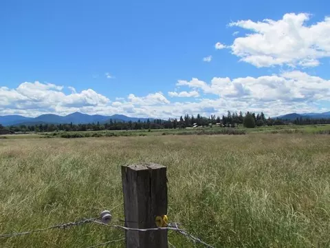2995 Upper River Rd, Grants Pass, OR 97526 photo 24