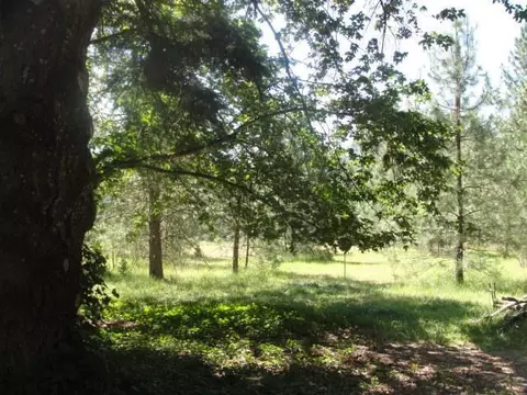 3460 Cedar Flat Rd, Williams, OR 97544 photo 13