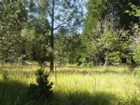 3460 Cedar Flat Rd, Williams, OR 97544 photo 11