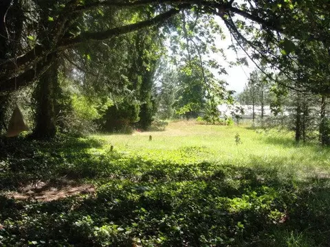 3460 Cedar Flat Rd, Williams, OR 97544 photo 14