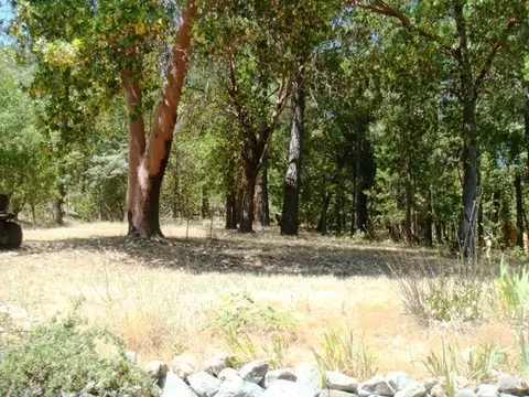 1605 Humbug Creek Rd, Applegate, OR 97530 photo 20