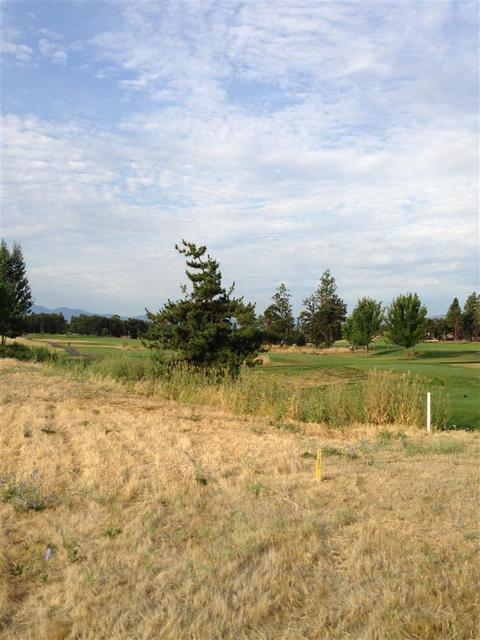882 Arrowhead Trl, Eagle Point, OR 97524 photo 4