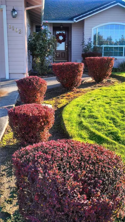 1102 Gate Park, Central Point, OR 97502 photo 3