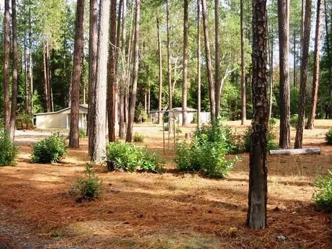 1480 E Fork Rd, Williams, OR 97544 photo 25