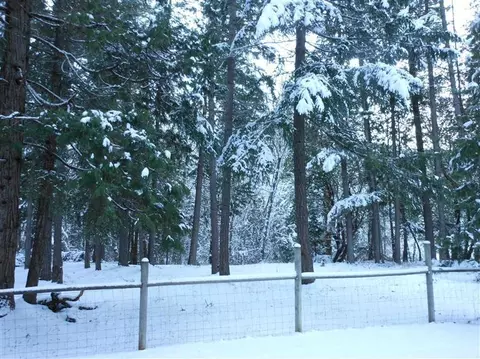 2431 Cedar Flat Rd, Williams, OR 97544 photo 9