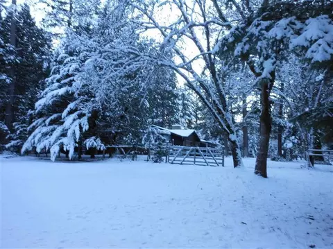2431 Cedar Flat Rd, Williams, OR 97544 photo 7