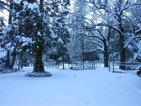 2431 Cedar Flat Rd, Williams, OR 97544 photo 5