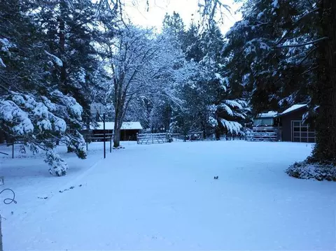 2431 Cedar Flat Rd, Williams, OR 97544 photo 4