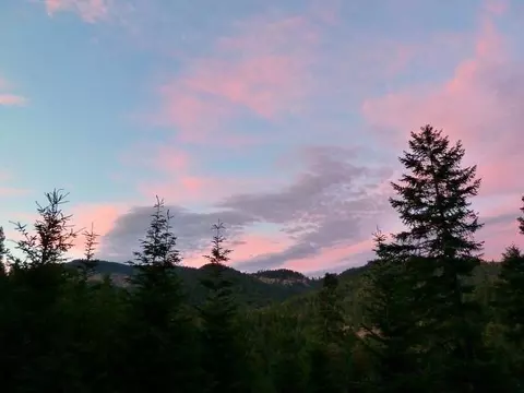 342 Elder Mill Rd, Trail, OR 97541 photo 15