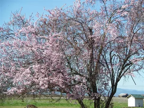 2929 E Antelope Rd, Eagle Point, OR 97524 photo 14