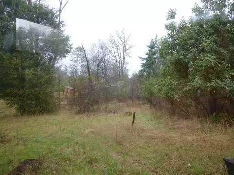 1010 Elder Mill Rd, Trail, OR 97541 photo 5