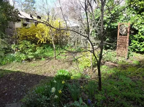 302 4th St, Phoenix, OR 97535 photo 7