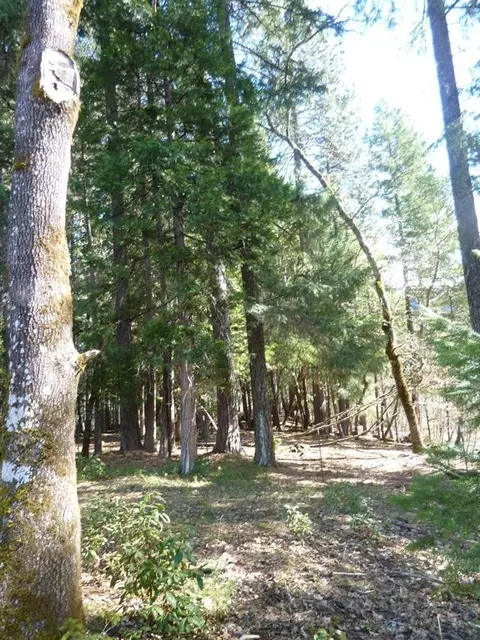 776 Mather Rd, Prospect, OR 97536 photo 11