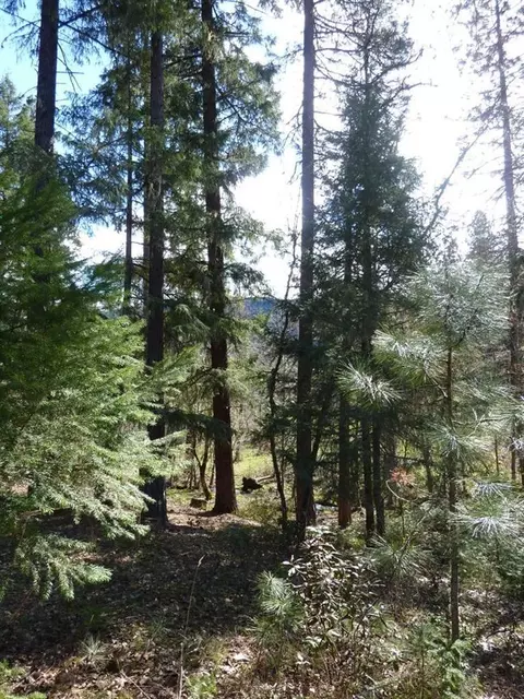 776 Mather Rd, Prospect, OR 97536 photo 10