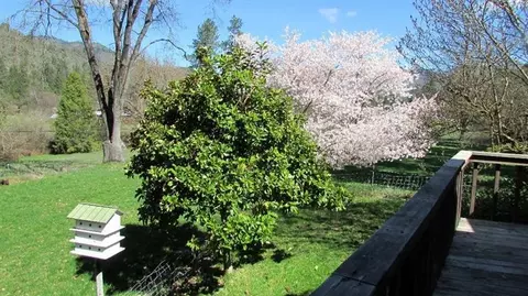 1095 Thompson Crk, Applegate, OR 97530 photo 15