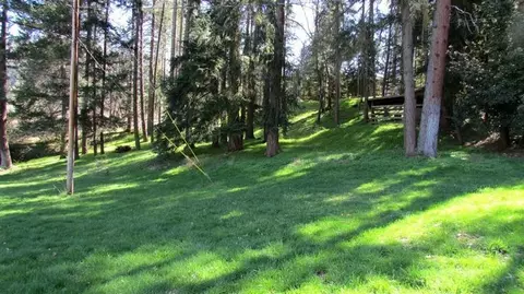 1095 Thompson Crk, Applegate, OR 97530 photo 16
