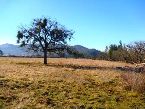 346 Salt Creek Rd, Eagle Point, OR 97524 photo 15