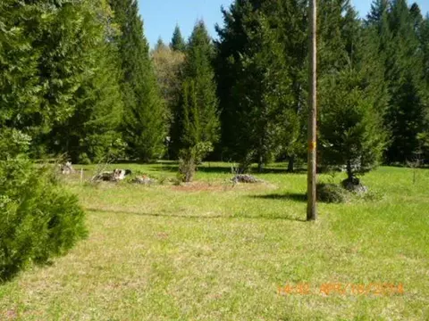 141 Ivy Dr, Cave Junction, OR 97523 photo 6