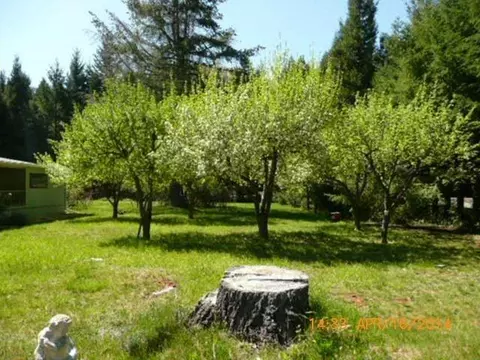 141 Ivy Dr, Cave Junction, OR 97523 photo 7