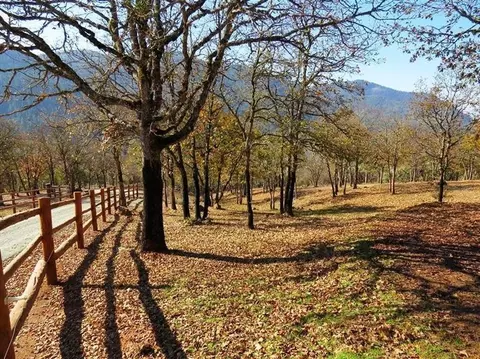 4386 Foothill Rd, Grants Pass, OR 97526 photo 31
