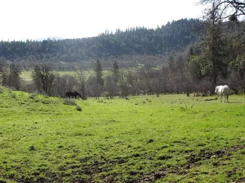 1897 Crowfoot Rd, Eagle Point, OR 97524 photo 22