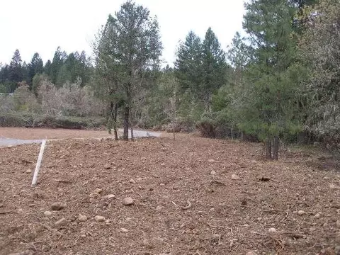435 Crest Dr, Cave Junction, OR 97523 photo 3
