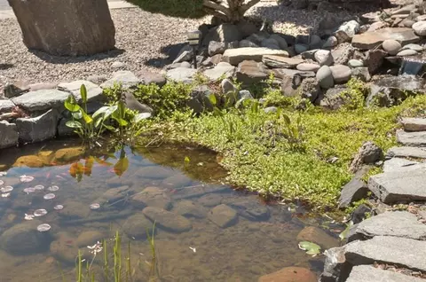 555 Freeman Rd #222, Central Point, OR 97502 photo 3