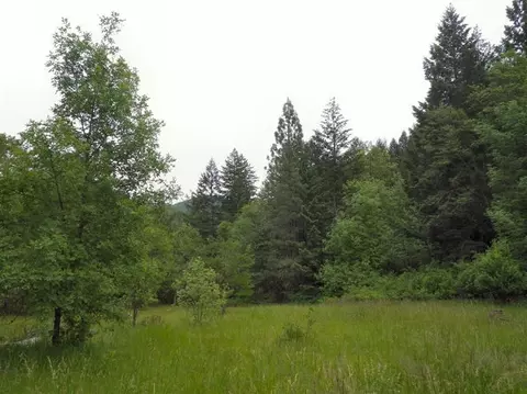 2000 Cobleigh Rd, Butte Falls, OR 97522 photo 4