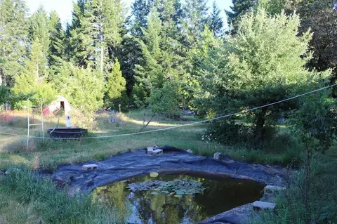 4395 Holland Loop Rd, Cave Junction, OR 97523 photo 3