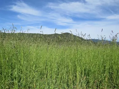 4063 E Antelope Rd, Eagle Point, OR 97524 photo 8