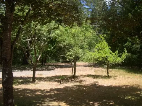 1840 Holland Loop Rd, Cave Junction, OR 97523 photo 7