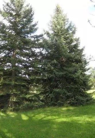 12321 Hwy 62, Eagle Point, OR 97524 photo 7