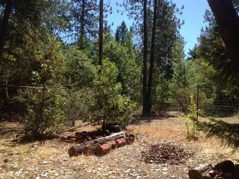 3150 Humbug Crk, Applegate, OR 97530 photo 5