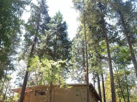 3150 Humbug Crk, Applegate, OR 97530 photo 16
