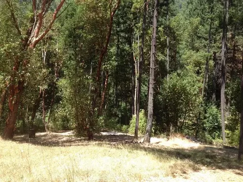 3150 Humbug Crk, Applegate, OR 97530 photo 3