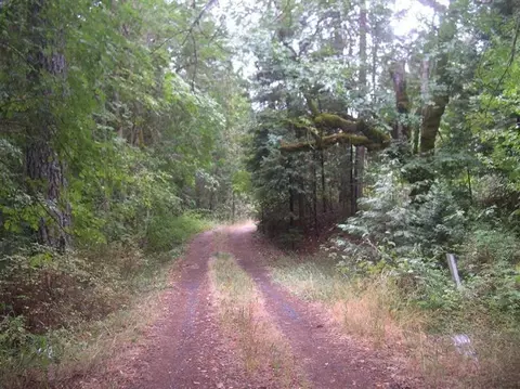9237 Holland Loop, Cave Junction, OR 97523 photo 22