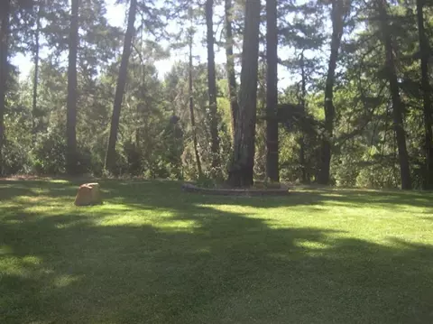 9237 Holland Loop, Cave Junction, OR 97523 photo 4