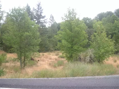 9237 Holland Loop, Cave Junction, OR 97523 photo 23