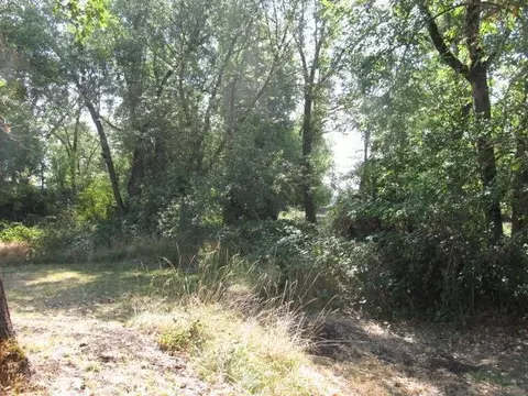 985 Riley Rd, Eagle Point, OR 97524 photo 11