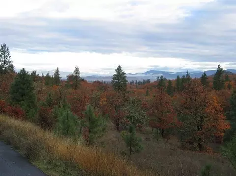 1105 Alpine Rd, Eagle Point, OR 97524 photo 29