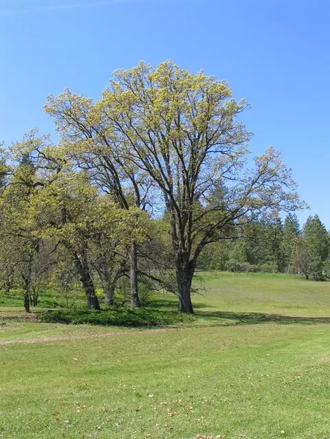 1105 Alpine Rd, Eagle Point, OR 97524 photo 28